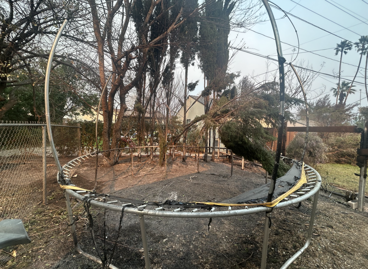 A portion of my backyard burned in the fire—including my childhood trampoline.